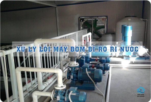 may bom